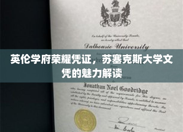 英伦学府荣耀凭证，苏塞克斯大学文凭的魅力解读