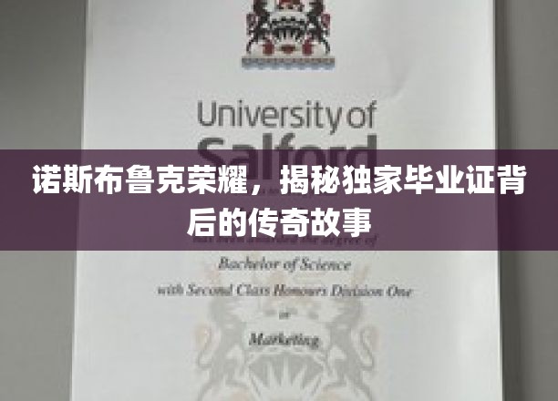 诺斯布鲁克荣耀，揭秘独家毕业证背后的传奇故事