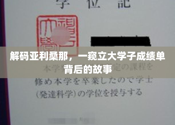 解码亚利桑那，一窥立大学子成绩单背后的故事