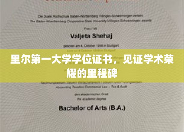 里尔第一大学学位证书，见证学术荣耀的里程碑