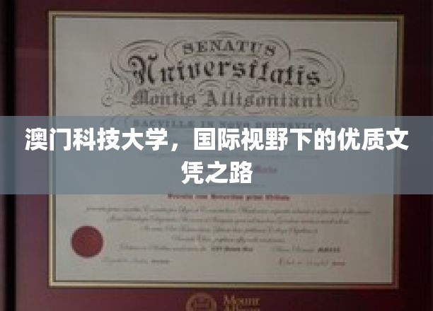 澳门科技大学，开启国际舞台的卓越学历之旅