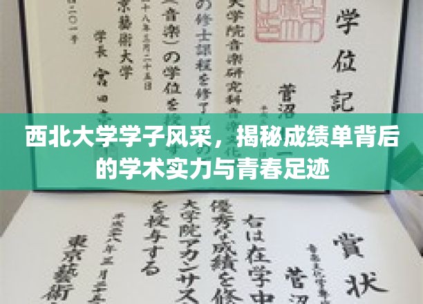 西北大学学子风采，揭秘成绩单背后的学术实力与青春足迹