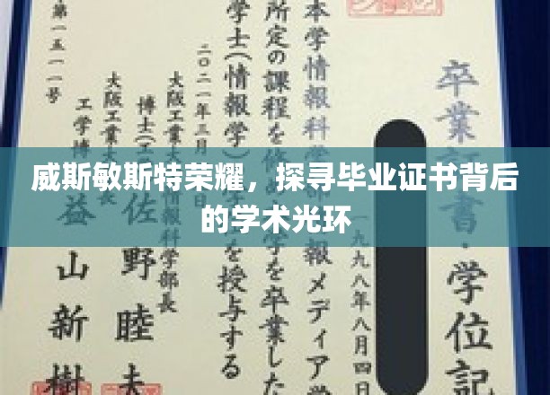 解码威斯敏斯特荣耀，毕业证书背后的学术璀璨之光