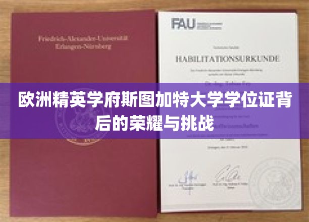解锁斯图加特大学学位证，荣耀之路上的荆棘与辉煌