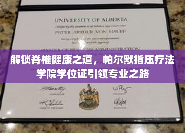 帕尔默指压疗法定制学位证，开启脊椎健康专业新篇章
