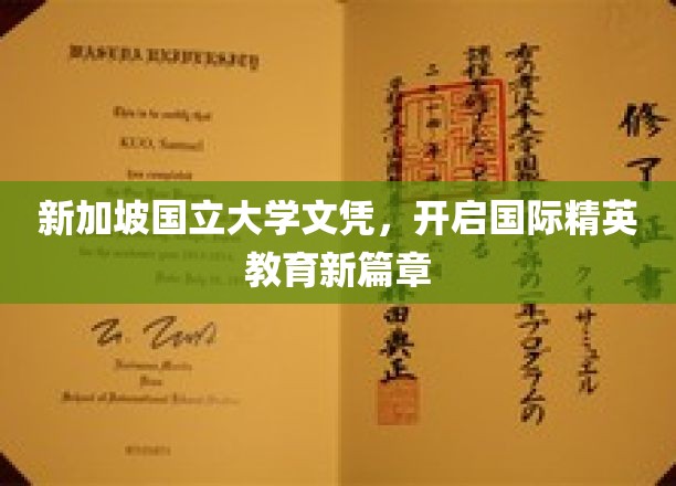 新加坡国立大学文凭，开启国际精英教育新篇章