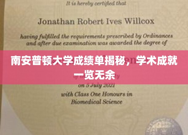 解码南安普顿卓越学术，成绩单背后的真实风采