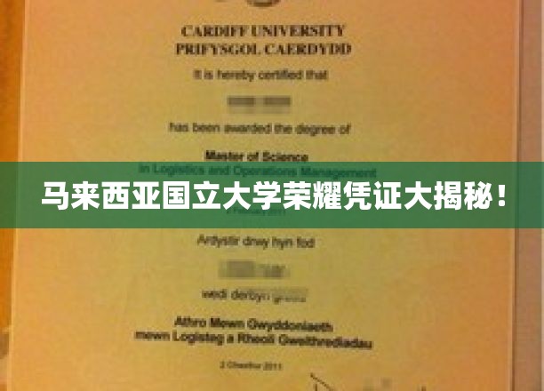 马大荣耀证书背后的故事，独家揭秘国立大学辉煌成就