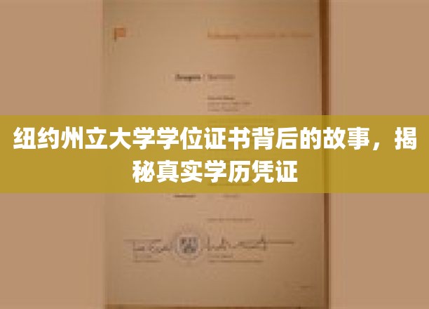 探寻纽约州立大学学位证书背后的传奇，揭秘学历凭证的奥秘