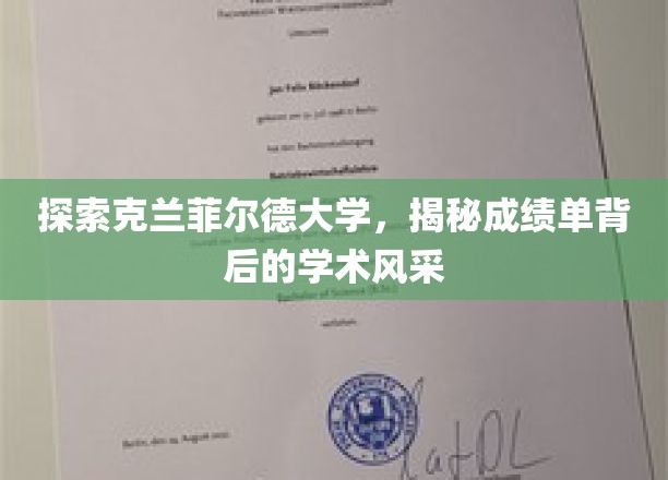 解码克兰菲尔德辉煌，揭秘卓越成绩背后的学术秘境