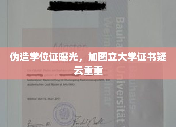 学历认证疑云，加图立大学证书真伪引发热议