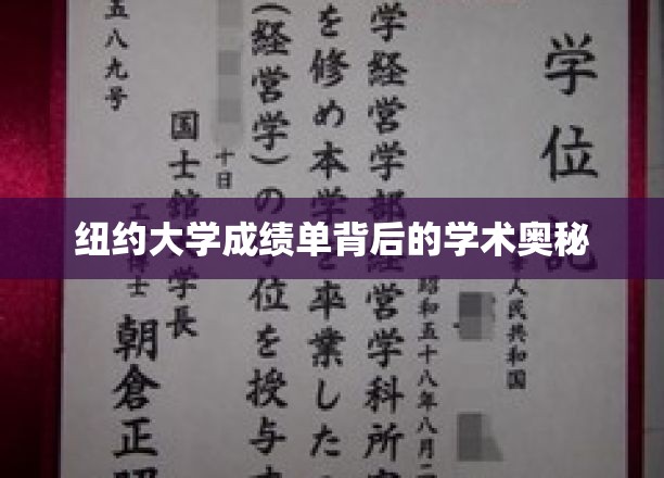 纽约大学成绩单背后的学术奥秘
