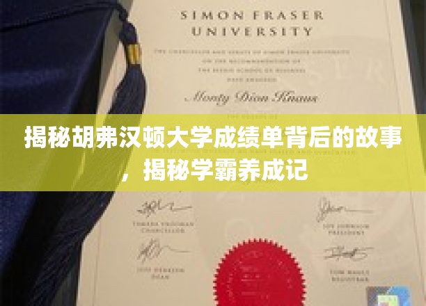 胡弗汉顿学霸养成记，揭秘成绩单背后的秘密世界