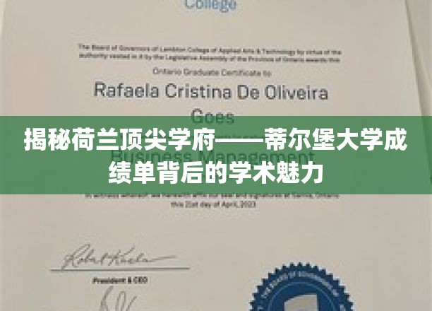 探秘蒂尔堡大学，揭秘成绩单背后的学术魅力与卓越风采