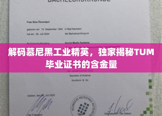 慕尼黑工业大学毕业证书背后的价值密码，揭秘TUM学位的非凡魅力