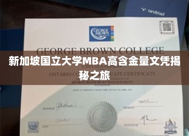 新加坡国立大学MBA高含金量文凭揭秘之旅