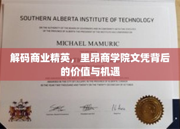 揭开里昂商学院文凭的神秘面纱，价值探索与职业新航向