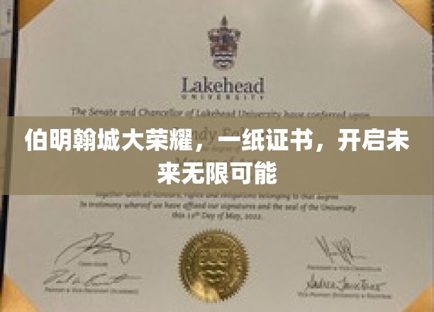 伯明翰城新篇章，荣誉证书见证梦想启航