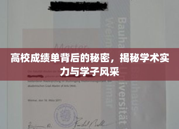 高校成绩单背后的秘密，揭秘学术实力与学子风采