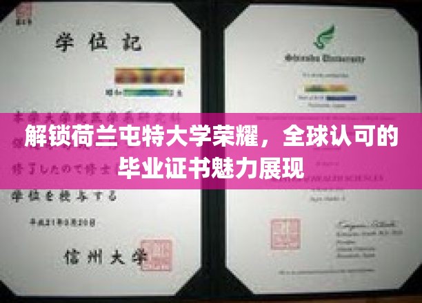 荷兰屯特大学荣耀揭晓，国际认可证书背后的独特魅力