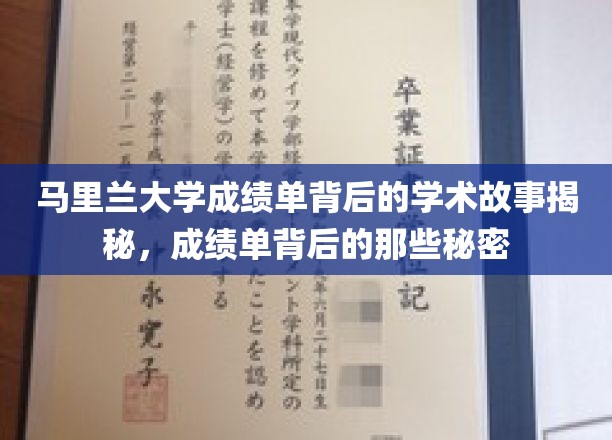 马里兰大学成绩单背后，探寻学术世界的隐藏故事