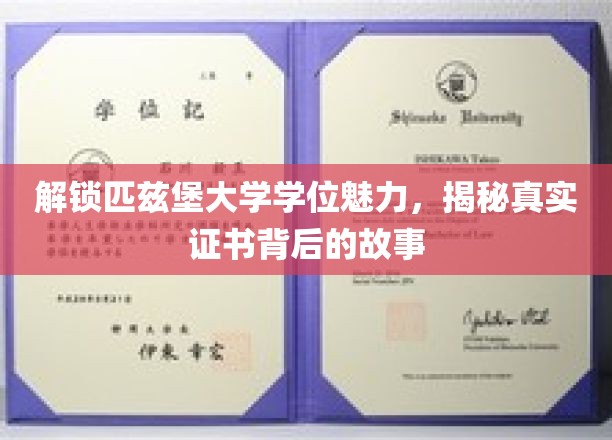 探寻匹兹堡大学学位奥秘，证书背后的传奇之旅