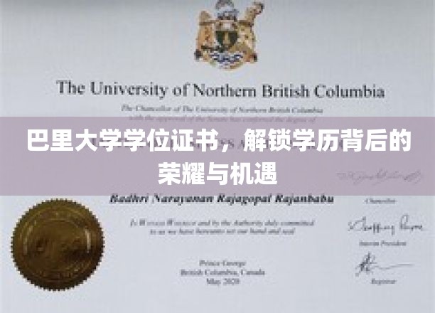 巴里大学学位证书，揭开成就背后的辉煌大门