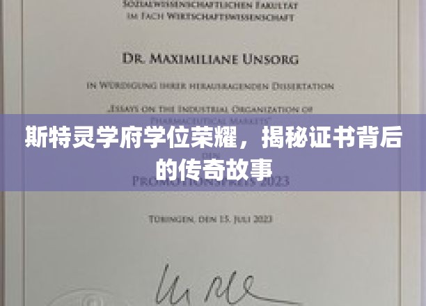 斯特灵学府荣耀揭秘，学位证书背后的传奇历程
