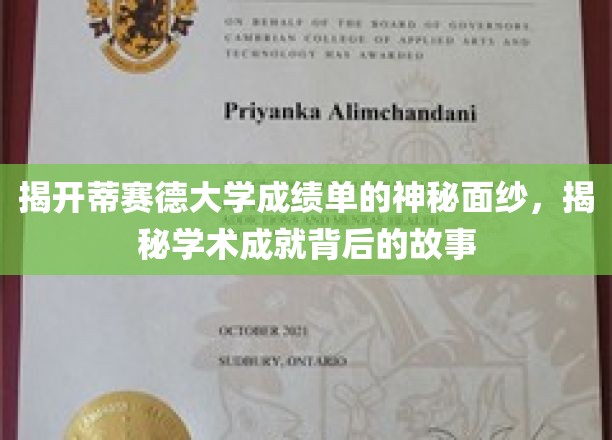 揭开蒂赛德大学成绩单的神秘面纱，探寻学术成就背后的故事