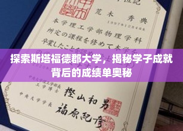 解锁斯塔福德郡大学学子卓越背后的学术秘籍