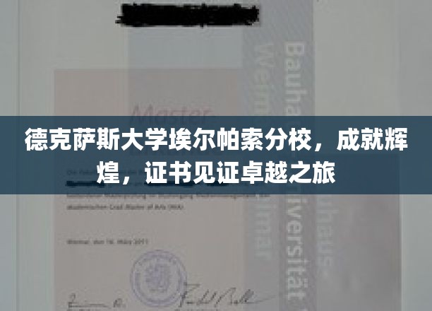 德克萨斯大学埃尔帕索分校，成就辉煌，证书见证卓越之旅