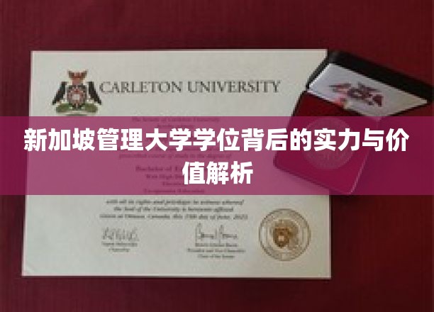 解码新加坡管理大学学位，实力与价值双重保障