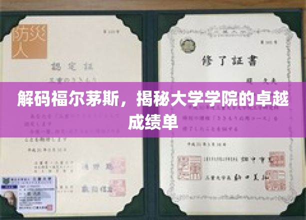 解码福尔茅斯，一窥大学学院的卓越成绩单