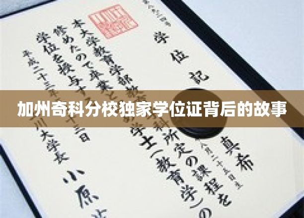 解码奇科分校神秘学位证，揭秘背后的传奇之旅