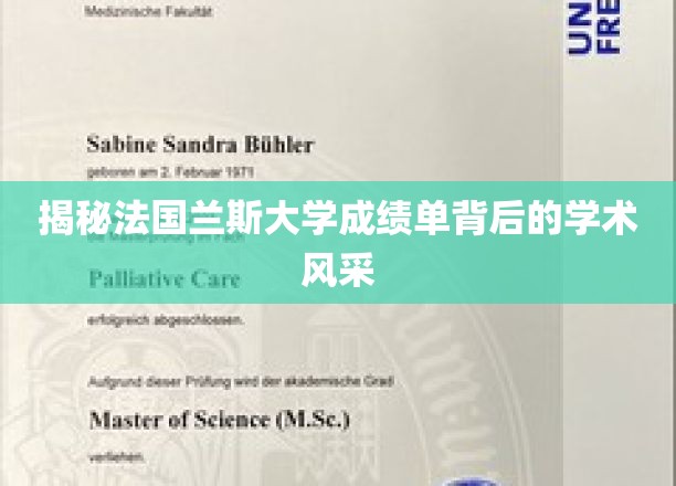 揭秘法国兰斯大学成绩单背后的学术风采
