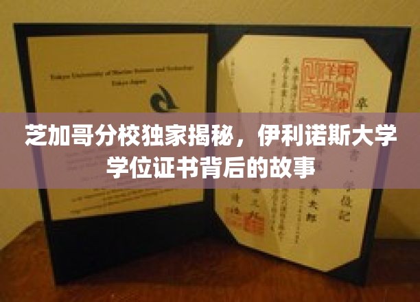 探寻伊利诺斯大学学位证书背后的传奇与奥秘