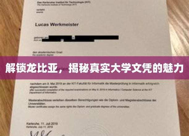 探寻龙比亚背后的真知，大学文凭的非凡力量