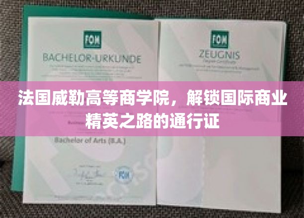 法国威勒商学院，开启全球商业领袖之旅的黄金钥匙