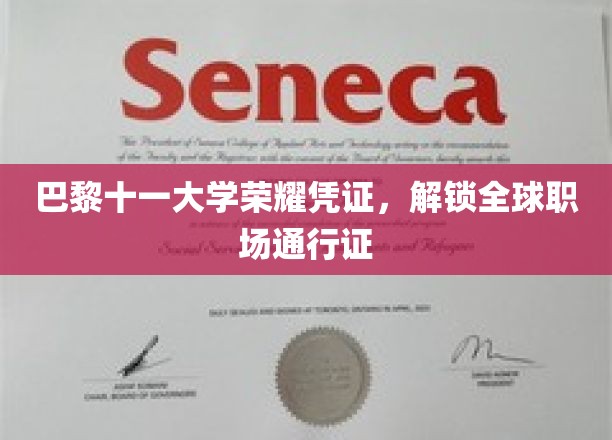 巴黎十一大学荣耀凭证，开启全球职场之旅