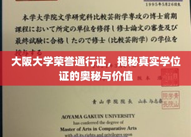 破解学位奥秘，大阪大学荣誉通行证的价值解析