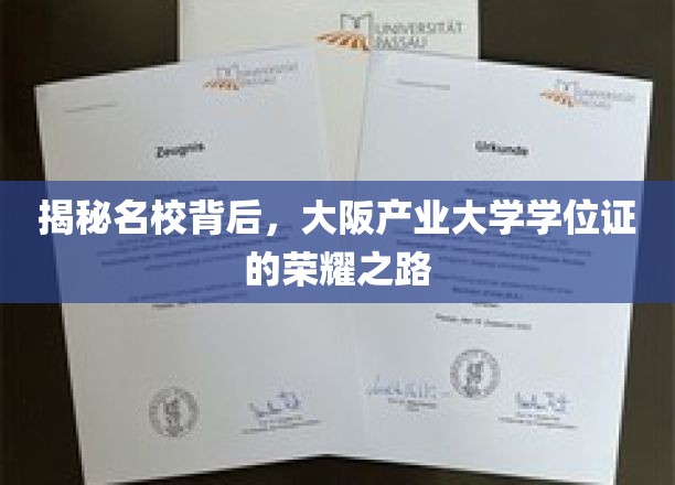 探寻大阪产业大学学位证的辉煌轨迹