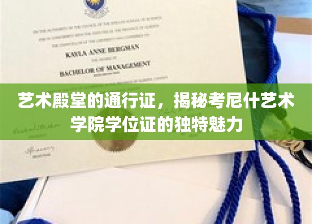 探寻考尼什艺术学院学位证的神秘艺术价值