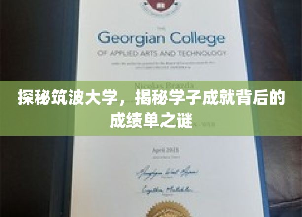 解码筑波精英，学子辉煌背后的学术奥秘