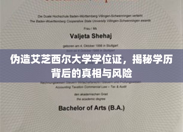 伪造艾芝西尔大学学位证，揭秘学历背后的真相与风险