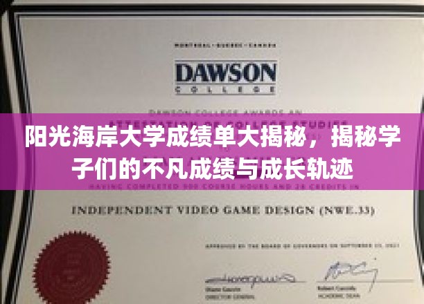 阳光海岸大学成绩单深度解析，揭秘学子非凡成就与成长轨迹