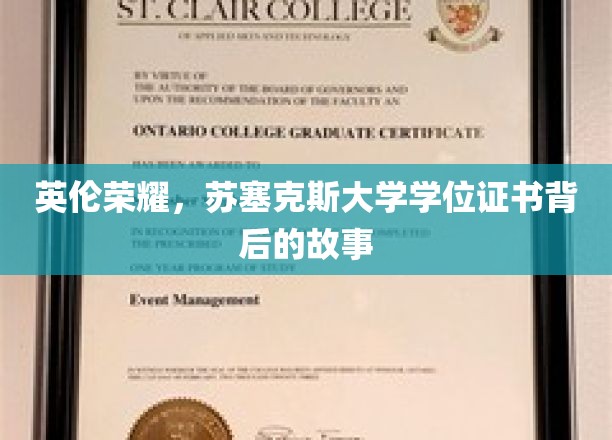 英伦荣耀，苏塞克斯大学学位证书背后的故事
