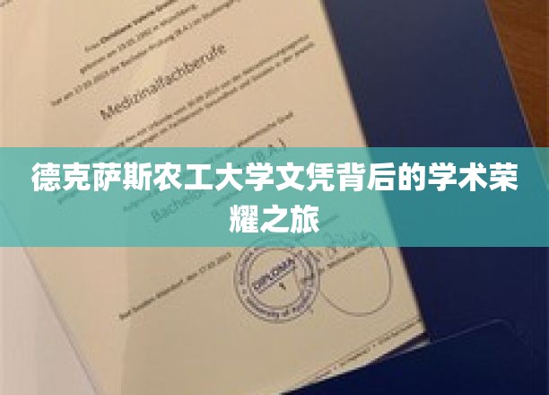 德克萨斯农工大学文凭背后的学术荣耀之旅