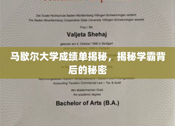 揭开马歇尔大学学霸背后的高分秘诀