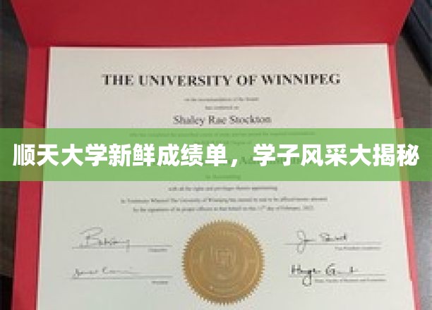 顺天骄子荣耀榜，一睹顺天大学风采瞬间