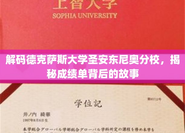 解码德克萨斯大学圣安东尼奥分校，揭秘成绩单背后的故事